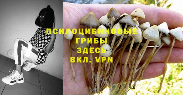 меф Алексеевка