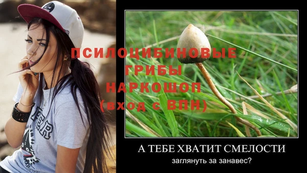 экстази Алзамай