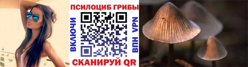 Купить где  Кочубеевское  Псилоцибиновые грибы GOLDEN TEACHER 